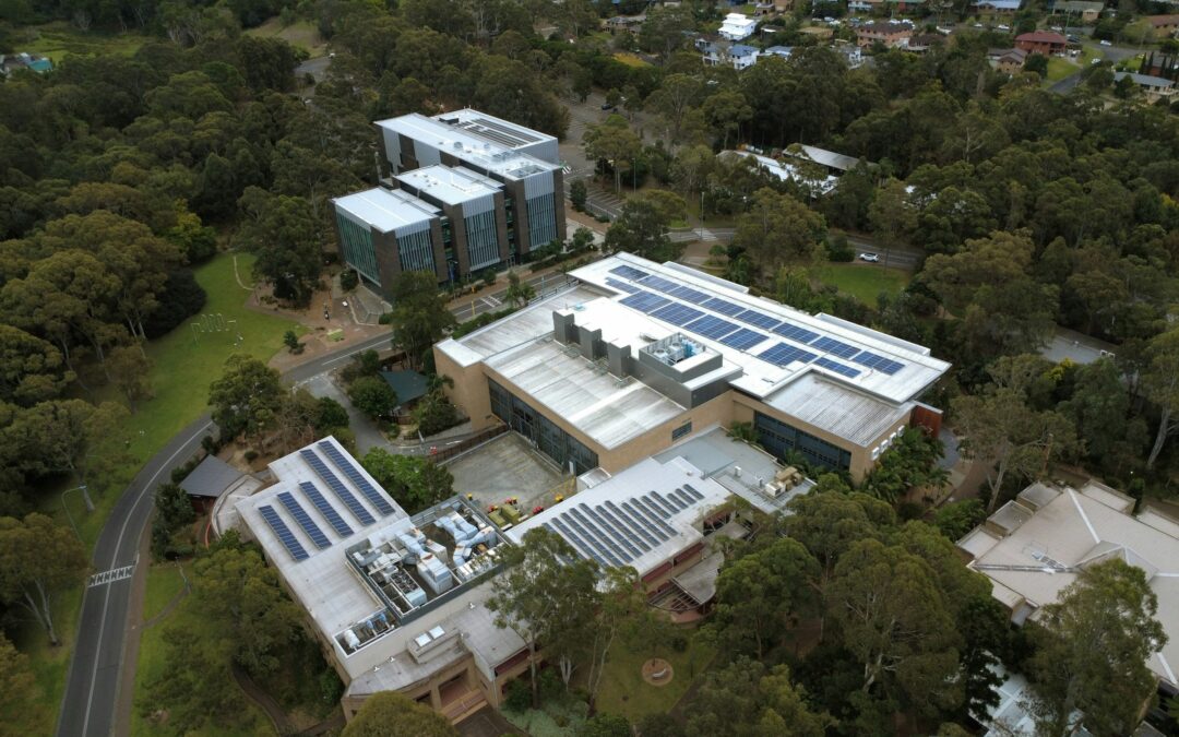 Why Australia leads the world in rooftop solar